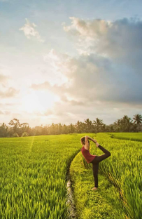 I am new yoga enthusiast.
