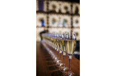 Wedding in Prague Daniella & Cory