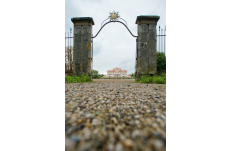 Wedding in Prague Lindsey & Ross