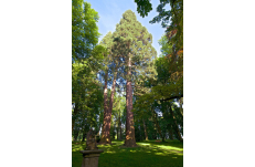 Wedding in Prague Ratmerice Castle