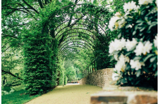 Wedding in Prague Savoia Castle