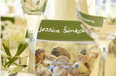 Wedding in Prague Favors
