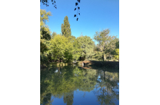 Wedding in Prague Yard Resort