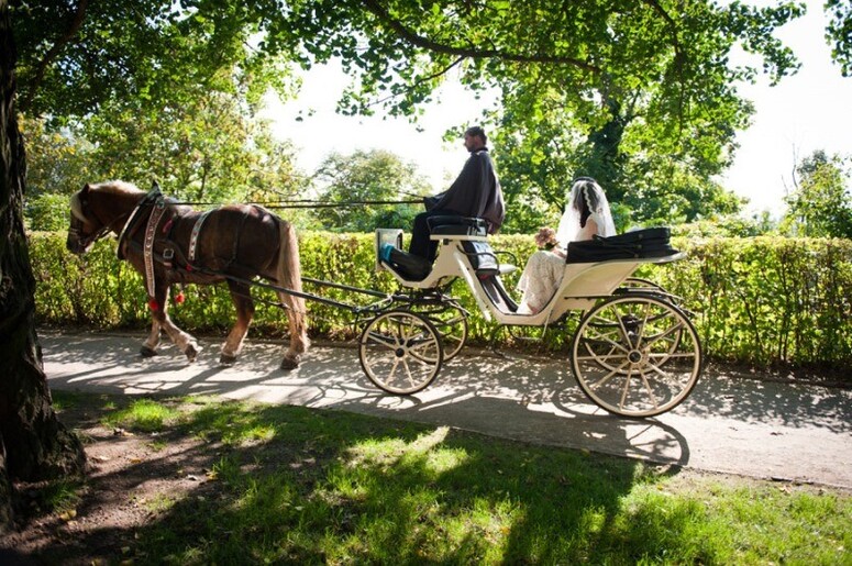 Wedding in Prague Pink and tender